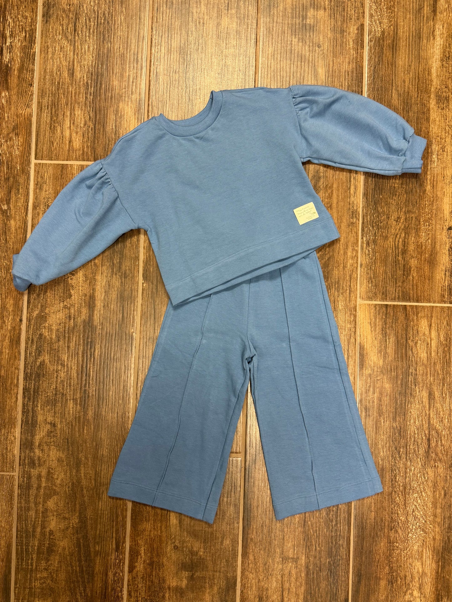 Blue Wide Legged Pant Set